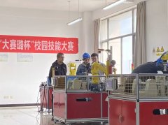 璐平安系统（江苏）无限公司陈燕科长等人不雅